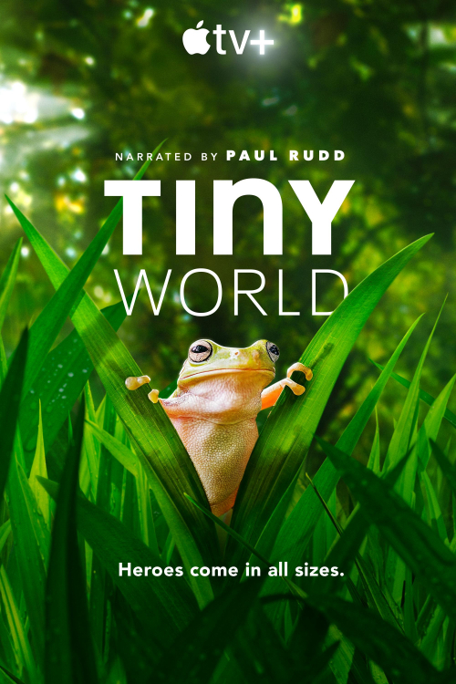 Tiny World S02