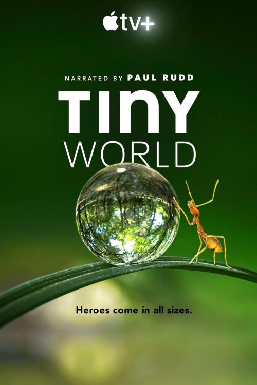 Tiny World S01